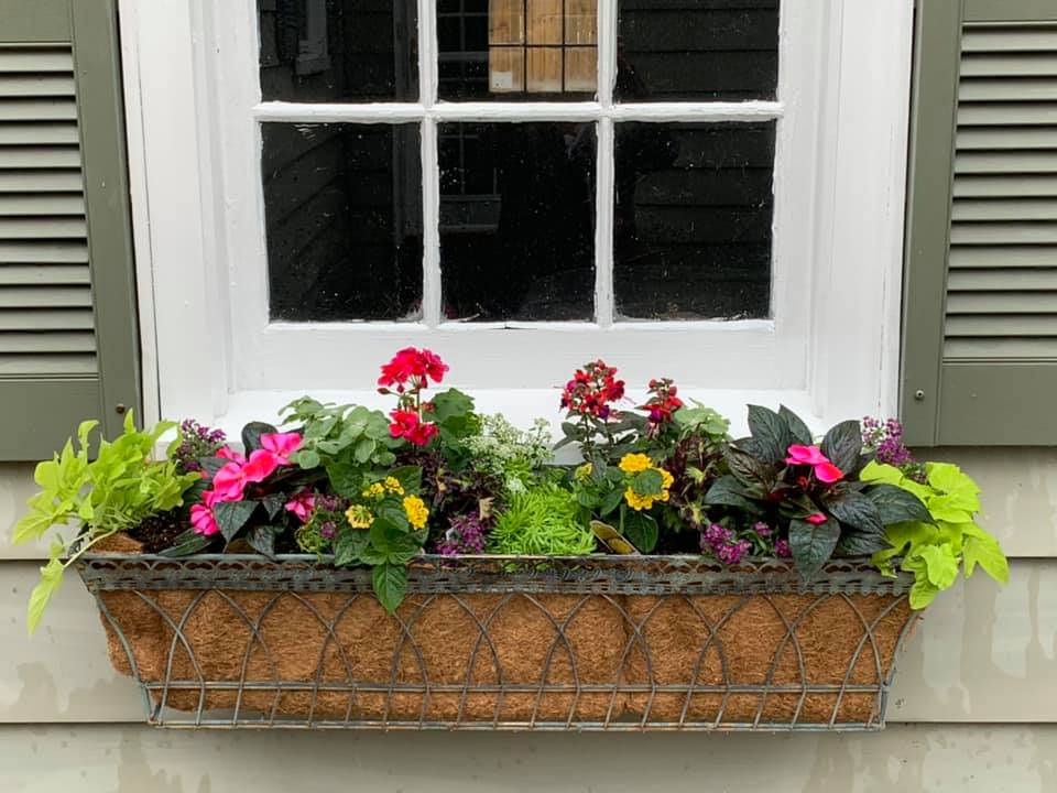 planterinwindow planterinwindow