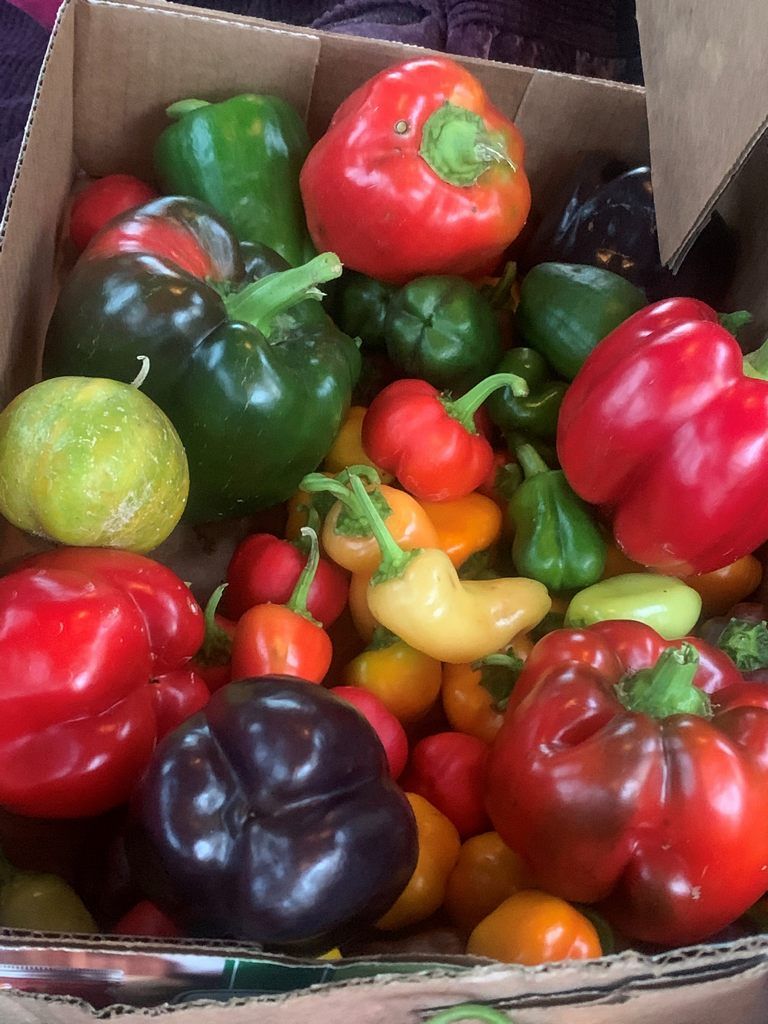 Peppers Peppers