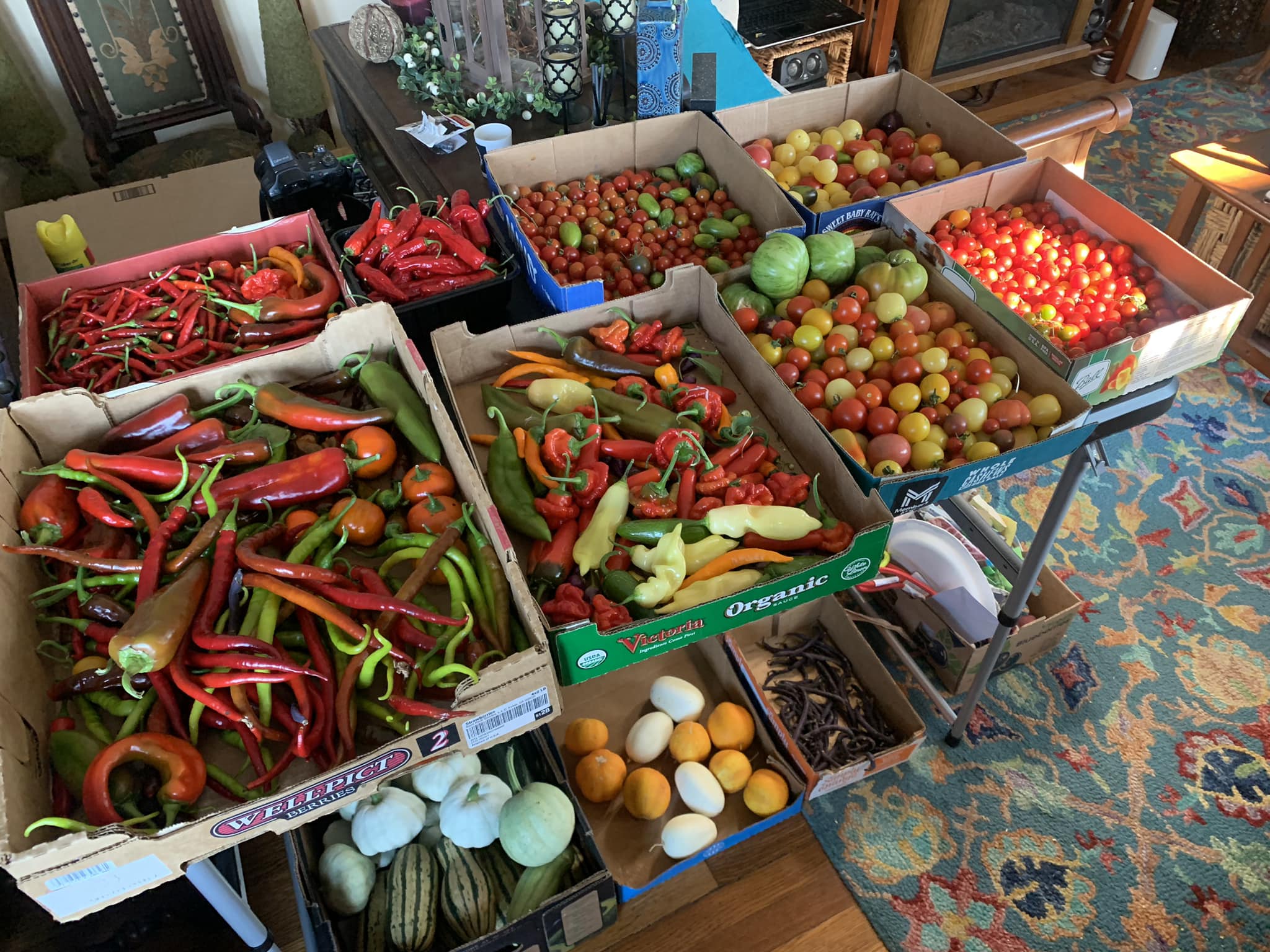 Harvest Harvest