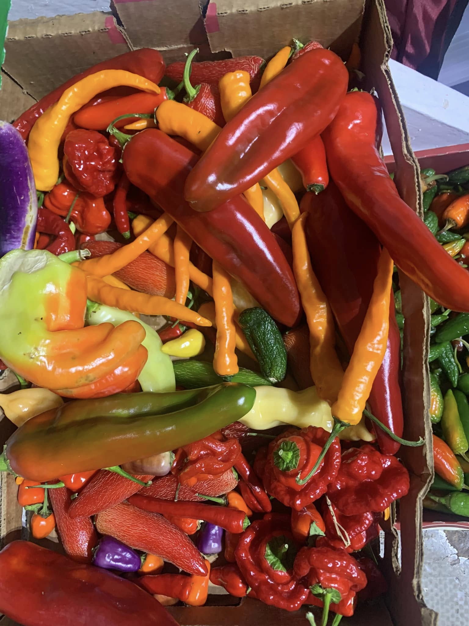 Peppers Peppers